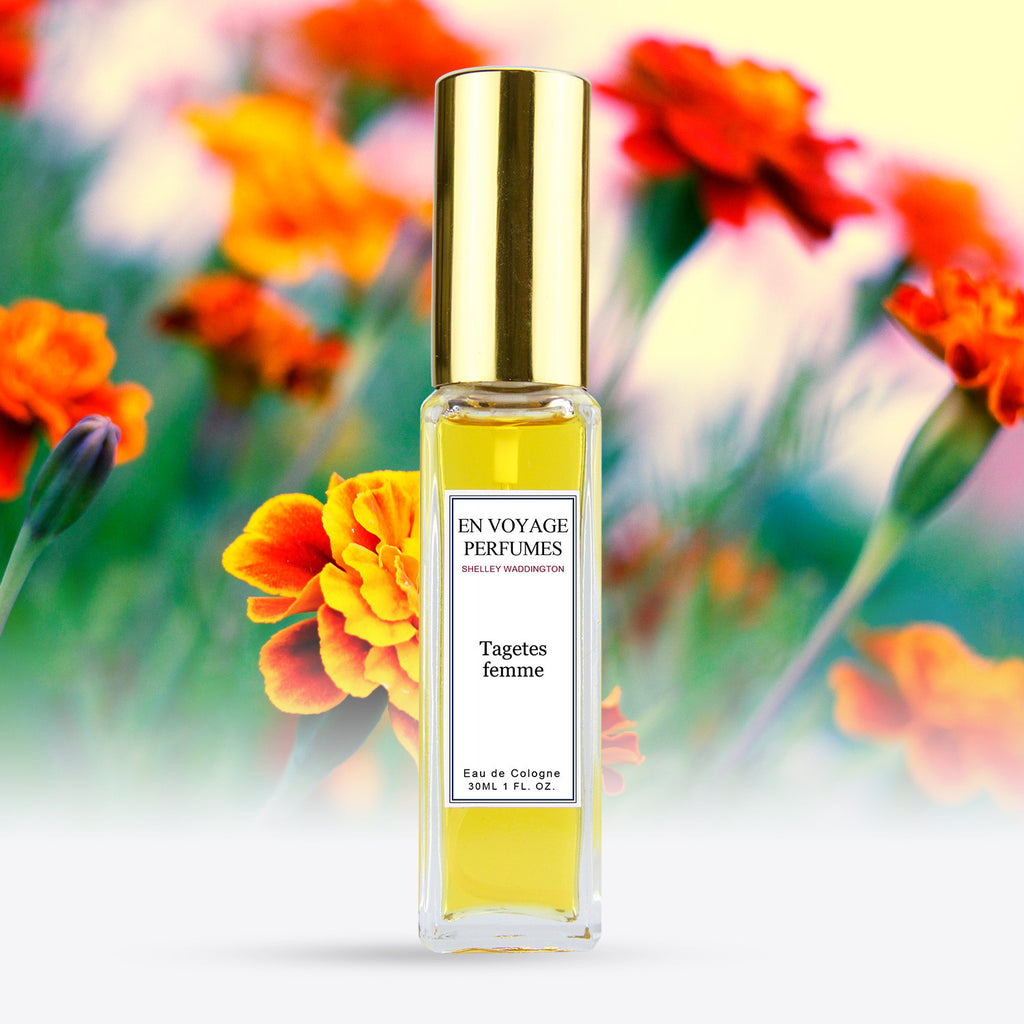 Tagetes Femme